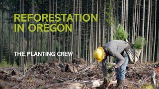 Reforestation in Oregon: The Planting Crew