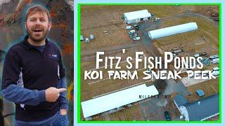 We Bought the Farm! Imported Koi from Japan. Farm Tour!