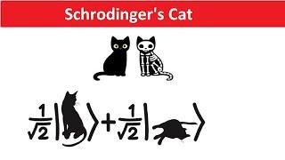 Schrodinger's Cat Explained in Hindi - Quantum Physics, Many World Theory & Reality