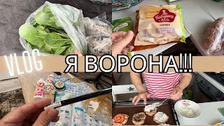 ВЫСАДИЛА ПЕРВУЮ РАССАДУ• ОБМЕНЯЛИ НА НОВЫЕ КРОССОВКИ• ЗАКУПКА ПРОДУКТОВ• ГОТОВЛЮ ГНЁЗДА