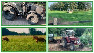 FarmVLOG #345 Aus rund wird eckig 2. Teil / Sattelschweinzucht am Ende !? / Mein Lovol M 504 hüpft !