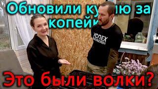 Обновили фасад кухни за копейки. Гектары требуют много рассады. А это точно волки?