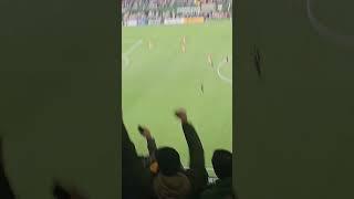 Portland Timbers with 3 goals  #rctid #portlandtimbers #ptfc #soccer #mls