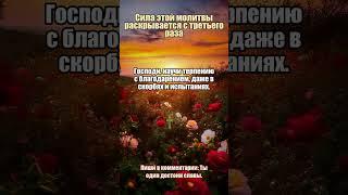 Молитва при душевной тревоге #тревога #надежда #молитвы