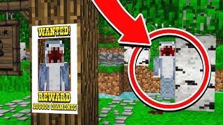 HAVE YOU EVER SEEN THIS PLAYER IN MINECRAFT?