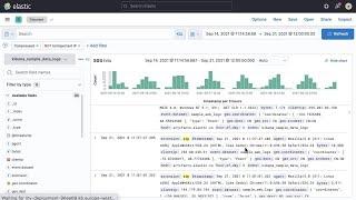 Filtering data in Kibana