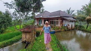 Pagi di guyur hujan bikin kedinginan, Suasana Pagi Saat Hujan di Pedesaan