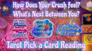 Your Crush! Their Current Feelings + What's Next Between You? Tarot Pick a Card Love Reading