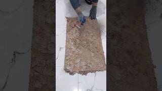 Compalate Satisfaction in 40 seconds!satisfying carpet cleaning.