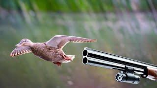 Duck Hunting Shotkam Kill Footage: Warning This Triggers Vegans!!!