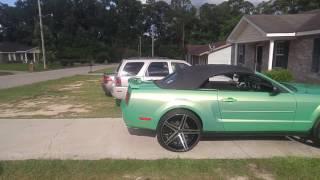 True gritt customs mustang pearl paint job on 24s