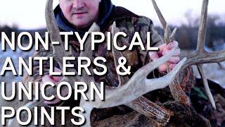 Non Typical Antlers & Unicorn Points | How Bucks Grow Them