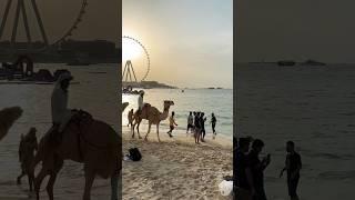 Jumeirah Beach Dubai