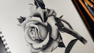 How to draw a realistic Rose || subtle shading techniques for beginners