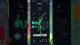 HOW TO TRANSFER HAMSTER FROM TONKEEPER WALLET TO BYBIT EXCHANGE