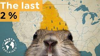 How Prairie Dogs Barely Escaped a Centuries-long Hunt I Earth Explained!