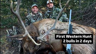 My First Western Elk Hunt: 2 Bulls in 2 Days