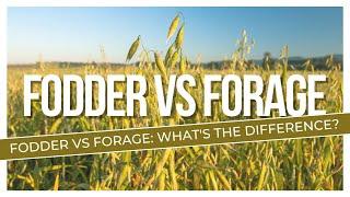 Fodder and forage crops difference