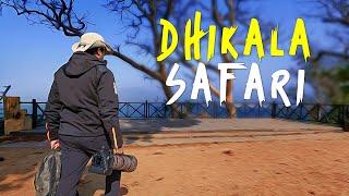Dhikala Safari, Jim Corbett - 4K Video Hindi | हिन्दी