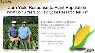 Yield Response to Plant Populations in Corn