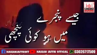 13 Safar Shahadat Bibi Sakina sa Whatsapp Status | Haye Baba Jaan | Nadeem Sarwar Whatsapp Status