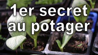 Le 1er secret de la réussite au jardin potager bio