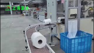 Full Auto Jumbo Roll Bagger & Case Packer