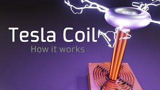 How a Tesla Coil Works  How to Make a Tesla Coil  Nikola Tesla