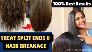 How to Remove Split ends & Hair Breakage | Repair Extreme Dry Damaged hair at home 100% Best results