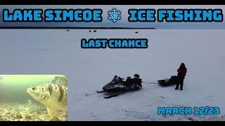 Lake Simcoe Ice Fishing: Last Chance for Whitefish