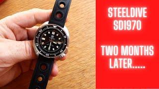 My Experience With The SteelDive SD1970 - Two Months Later......