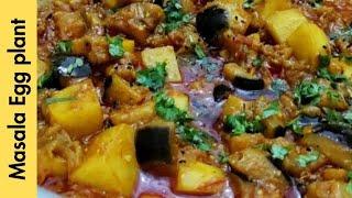 Aloo baingan ki sabzi by food Fusion family recipes/eggplant recipe/