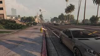 Pov: You're a npc in gta 5