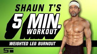 Shaun T 5 Minute Workout Weighted Leg Burnout