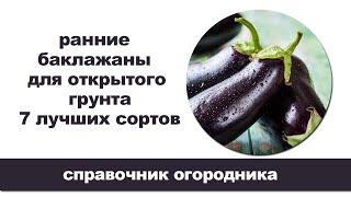 7 лучших ранних сортов баклажан для открытого грунта