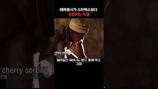 스타벅스보다 영업이익률이 2배인 개인카페 브랜드