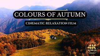 4k Relaxation Autumn Film : Soothing and colourful Cinematic Journey