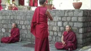 11-Dharamsala Buddhist Courtyard Debates