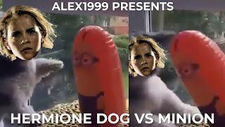 Hermione Dog vs. Minion