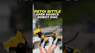 Meet Petoi Bittle: Your Own Smart Robot Dog!