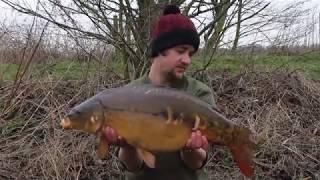 The Diary of An Average Carp Angler - A few Shots From Winter