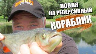 РЫБАЛКА НА РЕВЕРСИВНЫЙ КОРАБЛИК | ЛОВЛЯ ГОЛАВЛЯ НА МАЙСКОГО ЖУКА