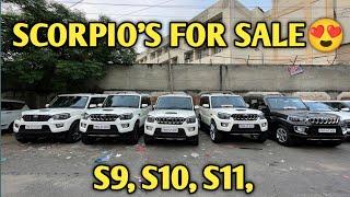 Scorpio's For Sale| Biggest Scorpio Stock | Scorpio 2022, 2021,2020 PUNJAB CAR BAZAAR Jalandhar