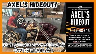 【ハーレー女子】遂にBorn Freeデビュー！？AXEL’S HIDEOUT!! Harley Davidson