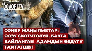 Соңку жаңылыктар: Оозу скотчтолуп, бакта байланган  адамдын өздүгү такталды