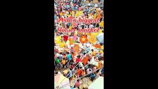 Howrah Flower Market crowd on Maha Shivaratri ll #flowers #mahashivratri #market #crowd