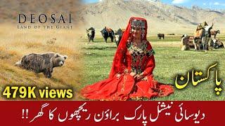 DEOSAI National Park  Skardu, Northern Areas of Pakistan Documentary