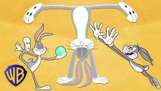Looney Tunes Presents: Sports Made Simple: Gymnastics | @wbkids