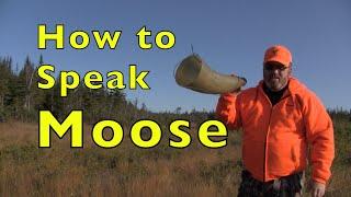 How To Call Moose and Bear Hunt Highlights