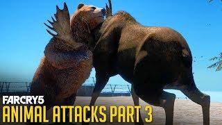All Animal Attacks on Grizzly Bear (Animal Attacks Part 3) Animals VS Bears - FAR CRY 5